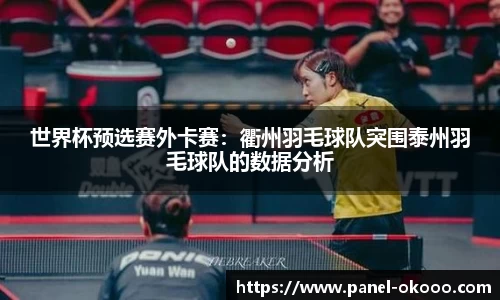 世界杯预选赛外卡赛：衢州羽毛球队突围泰州羽毛球队的数据分析